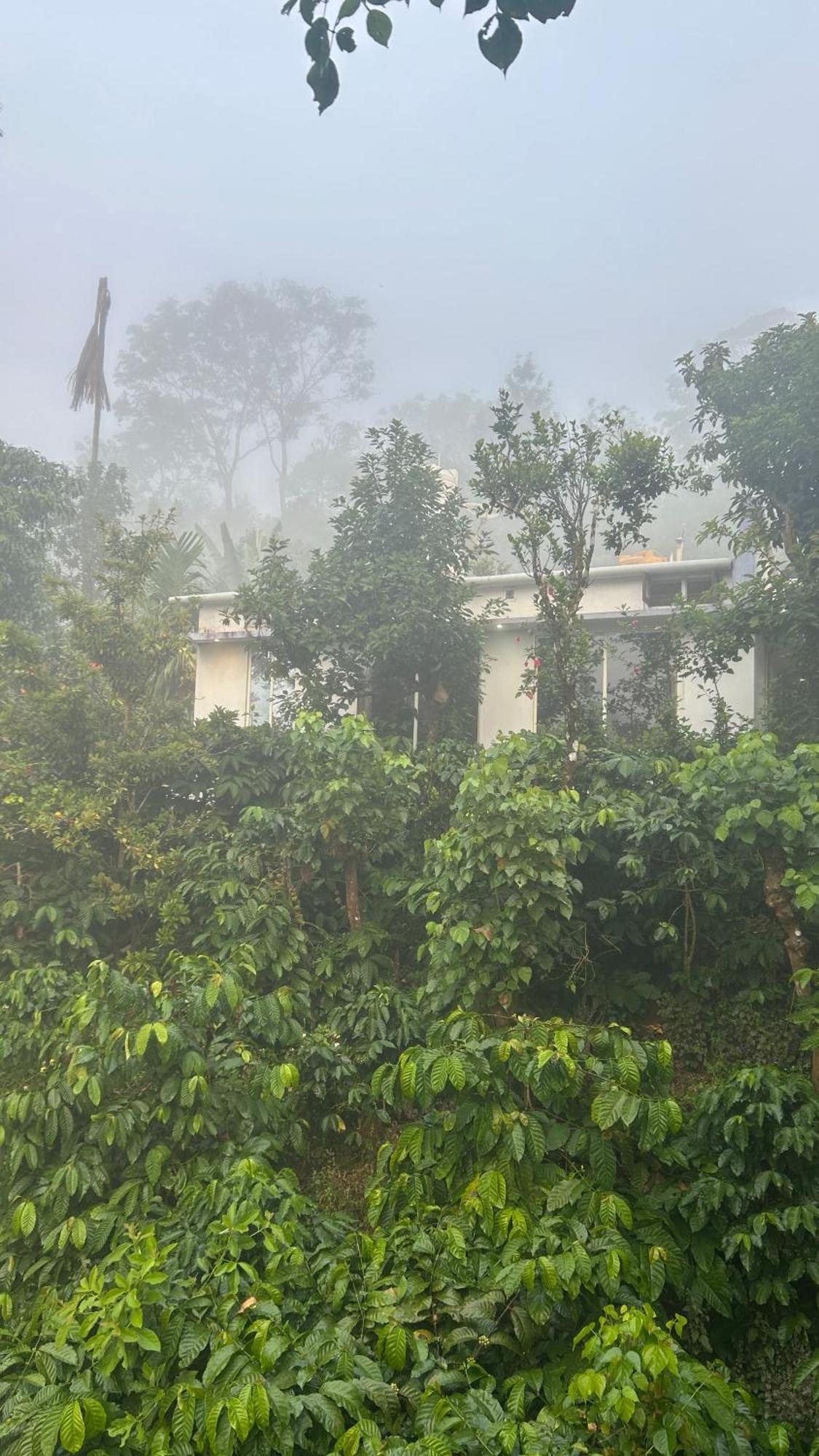 Doddakallu Betta Homestay Coorg Somvārpet Extérieur photo